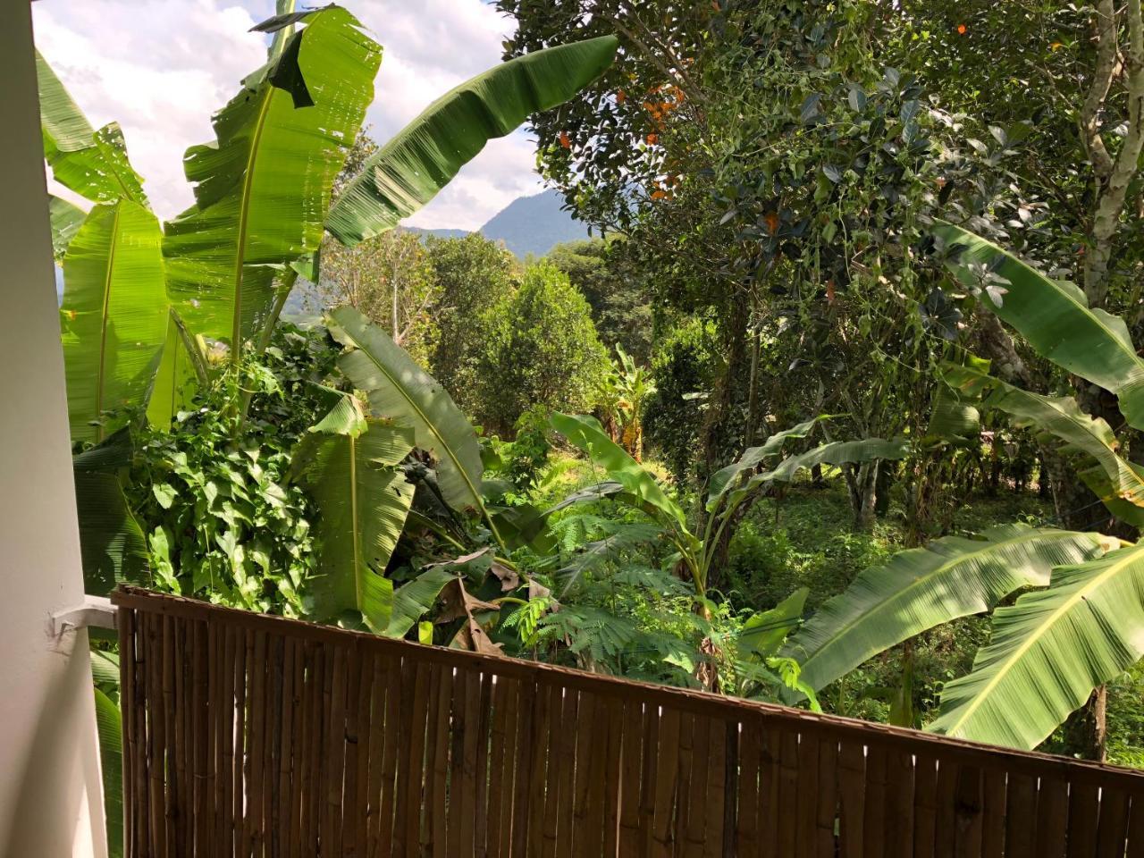 Pai Yard Guest House Exterior photo